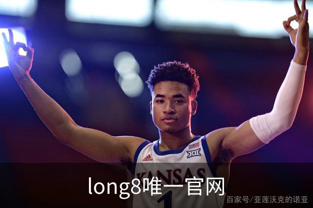 long8唯一官网公司简介